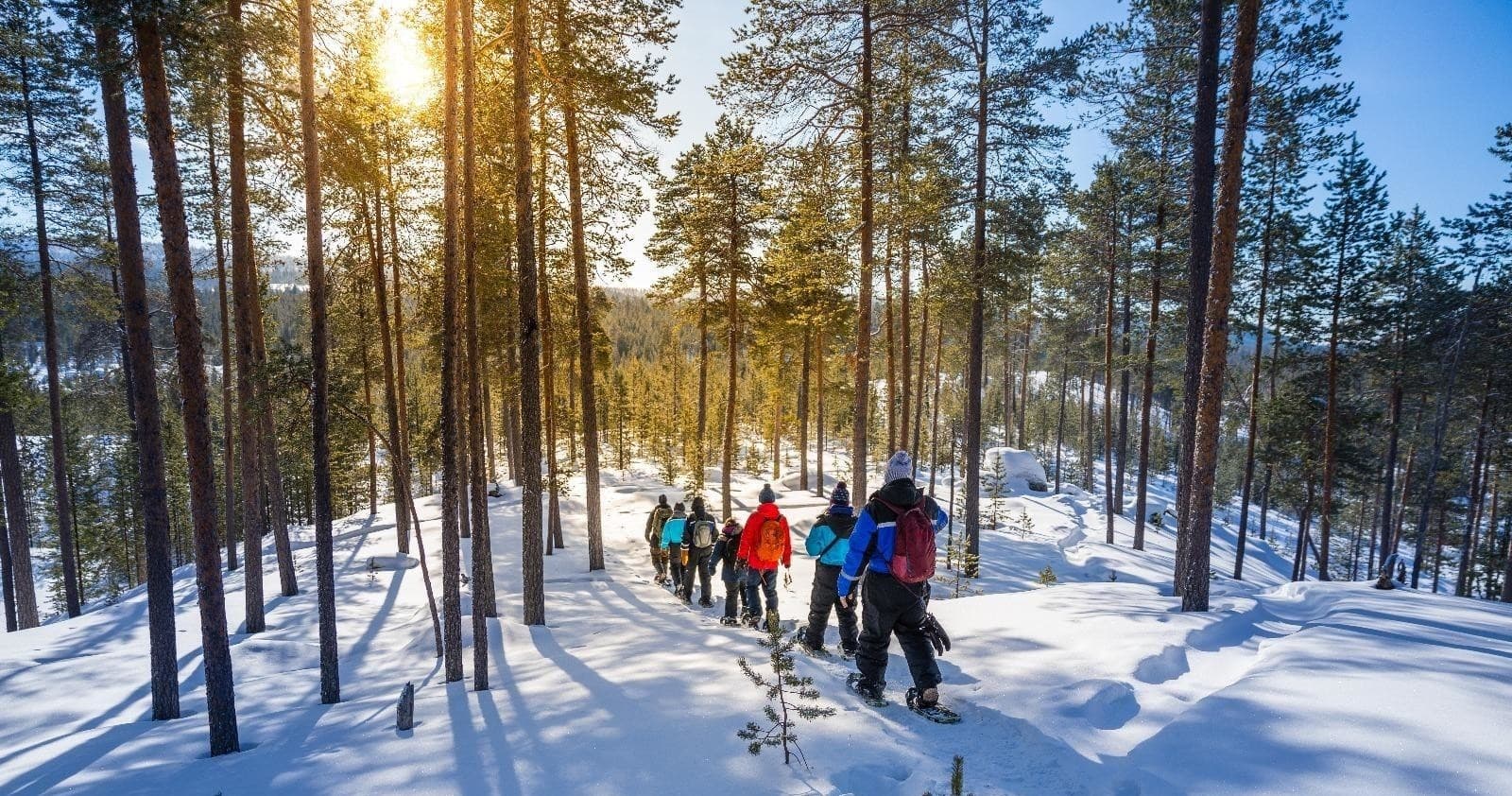 Winter Land Adventure at Wilderness Hotel - Muotka