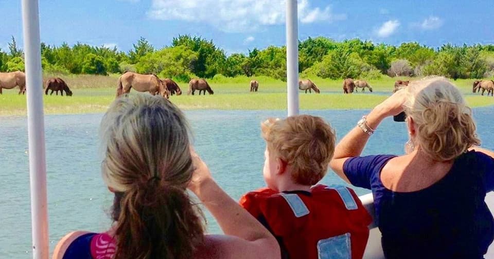 Tourists watching wild horses on beach from boat in coastal marsh