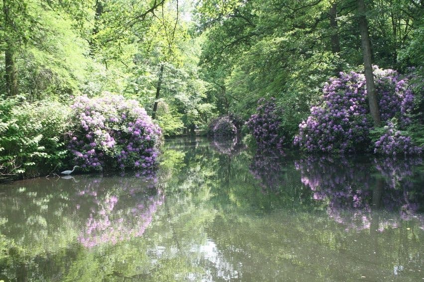 Rickshaw Tour Through Tiergarten: Brandenburger Tor, Rhododendronhain & Berlin Wall Remnants