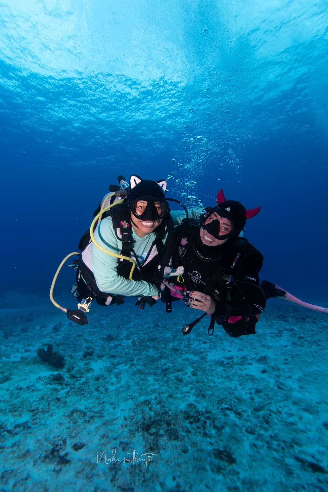 Refresher & Reactivate Dive in Cozumel, Mexico
