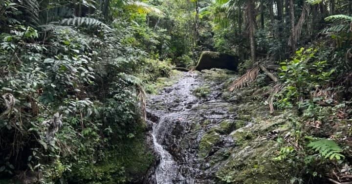 Waterfall Adventure with Sofrito Tours in Puerto Rico