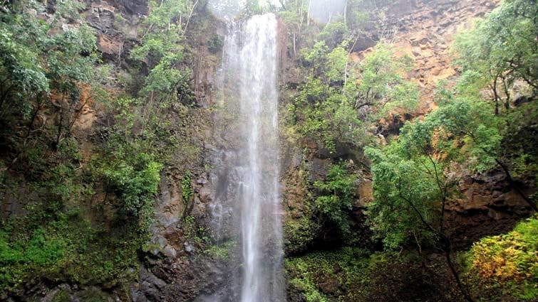 Slim waterfall dropping down mossy cliff in forest gorge