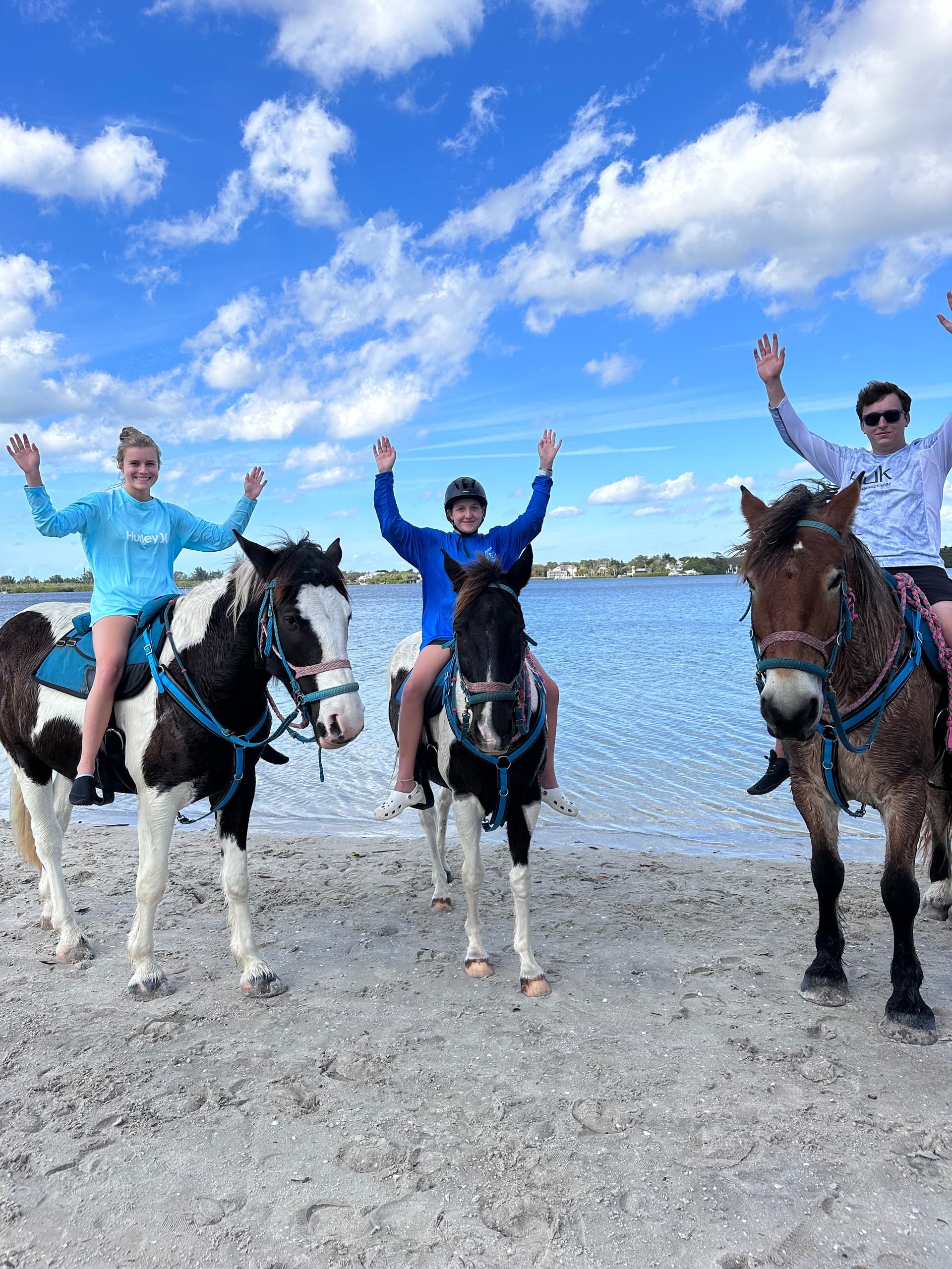 Carousel Sea Horses team