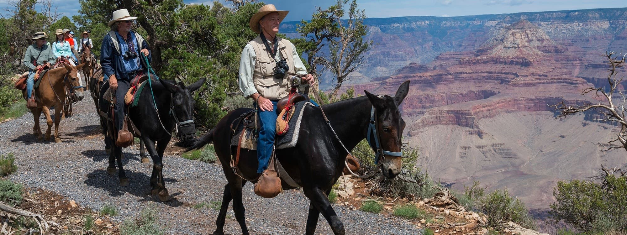 Canyon Vista Mule Ride on the East Rim at Grand Canyon North Rim