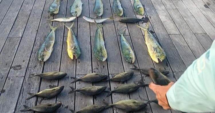 Full Day Fishing Charter from Suntex Ocean View Marina — Frisco, TX