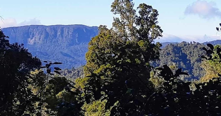 Wildlife & Land Adventure with Kiwi Dundee Adventures in Coromandel