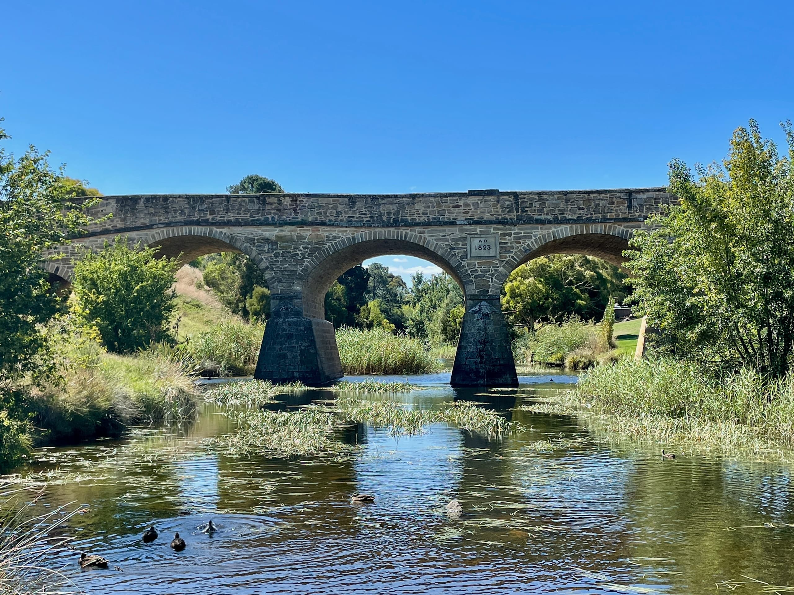 Wildlife & Historic Tour in Tasmania with Premier Travel Tasmania
