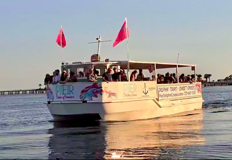 Watch Red Bull Cliff Diving from the Dolphin Queen — St. Pete Pier Spectator Cruise photo 1