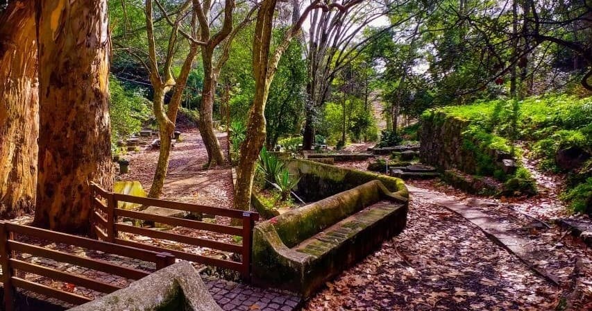 Monchique Mountain Tours with South Explorers in Algarve
