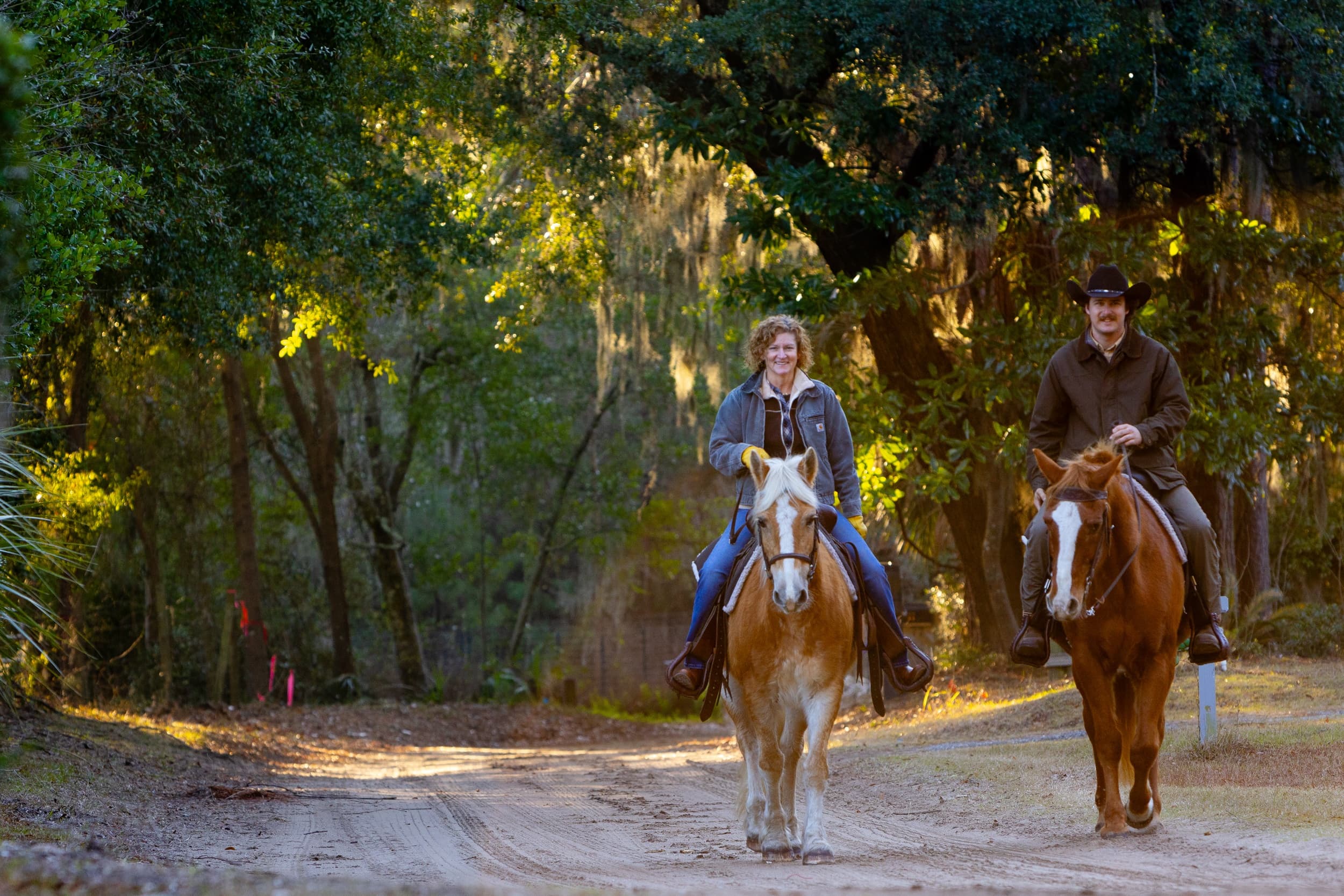 Two riders on wooded trail through sunlit forest path