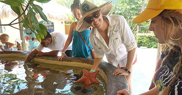Turtle Hospital Day Tour with Up The Keys in Key West