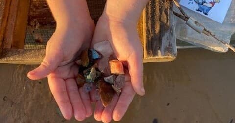 Gemstone Panning at innerspacecavern — Hands-On Gem and Fossil Finds in Georgetown, TX
