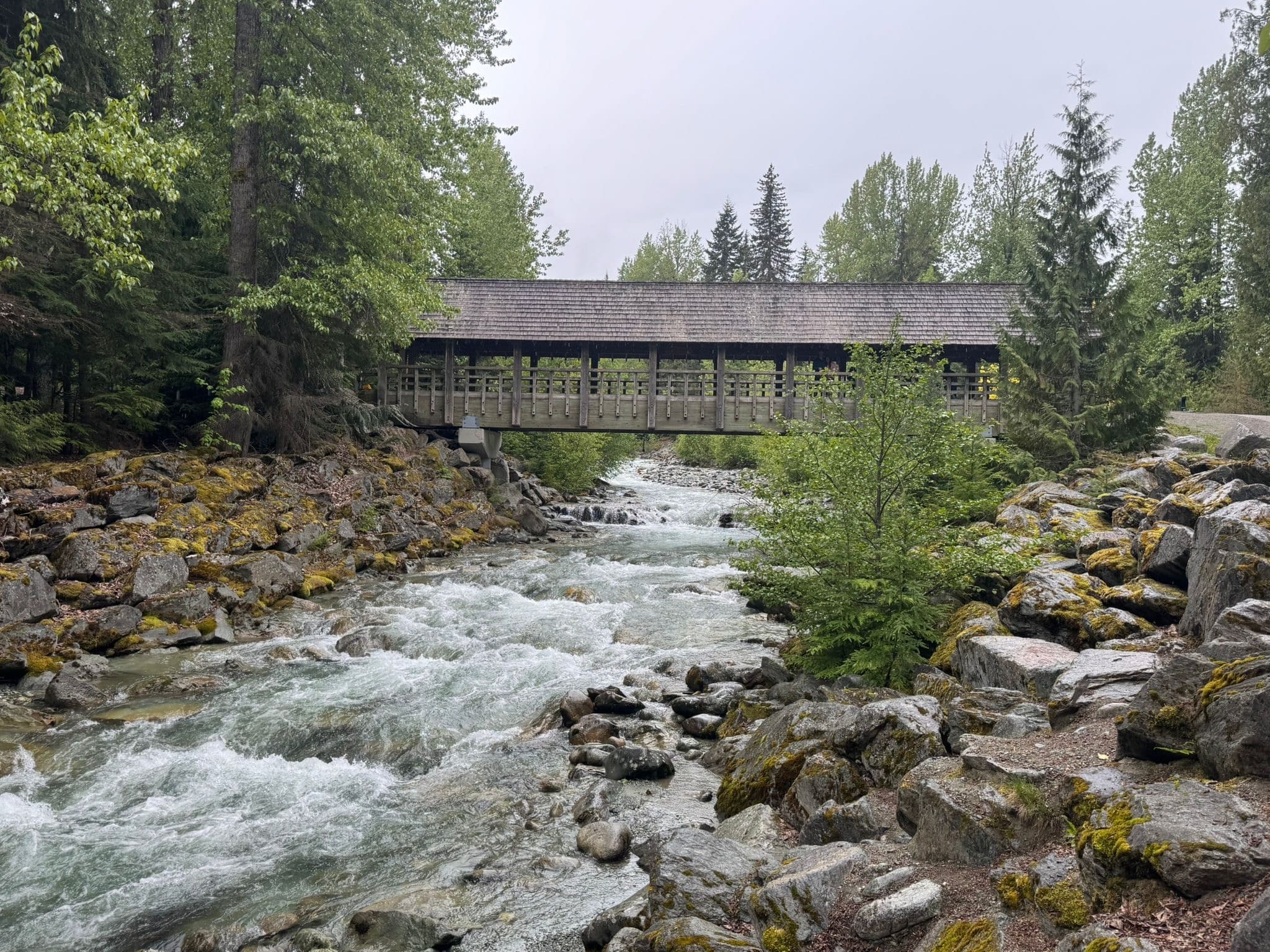 Scavenger Quest Adventure with Trail Quest in Whistler