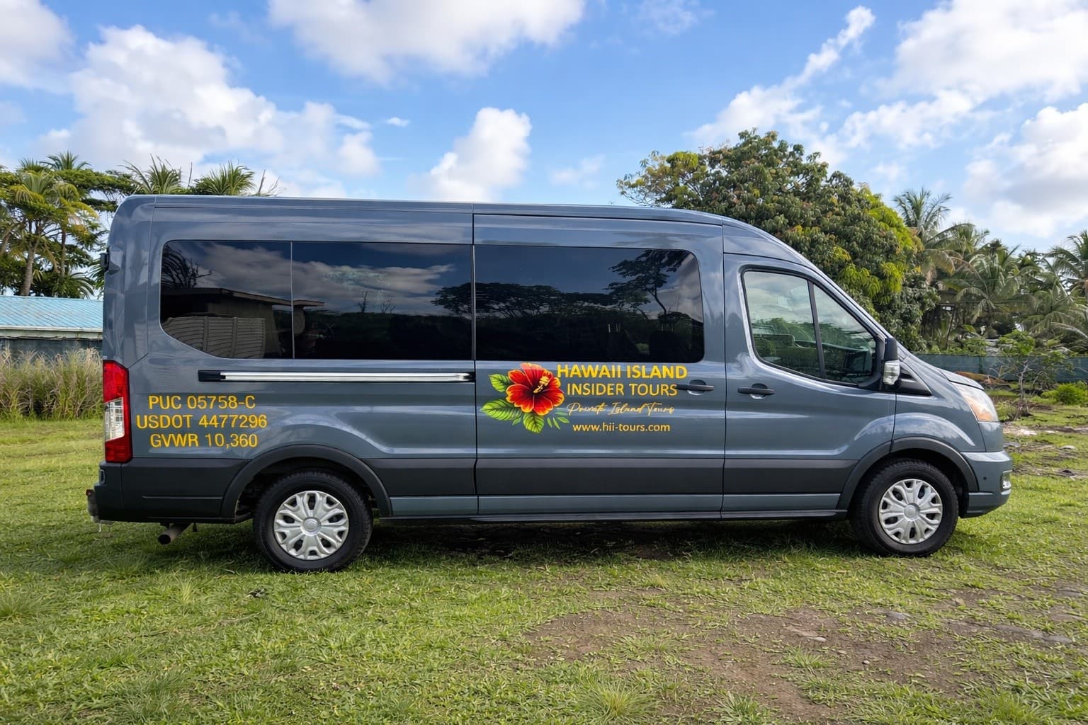 Small-Group Hilo Volcano Tour: Hawaiʻi Volcanoes National Park in Six Hours photo 3