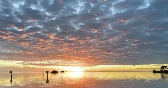 Private Boat Charters with Dunedin Tropical Tours in Florida