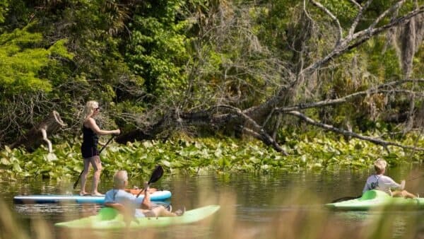Eco Paddle Tour on the Wekiva River: Guided Conservation Paddle in Longwood, FL