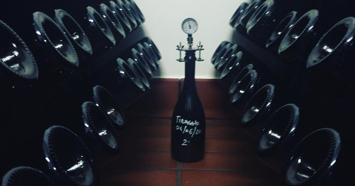 Tuscany Wine & Culture Tour with De Gustibus Tours