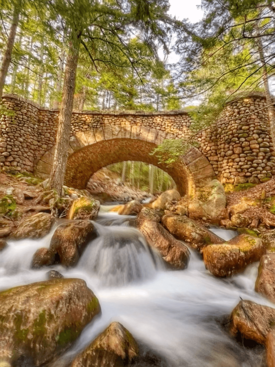 Mountain Biking in Acadia with Six Day Bike Rental