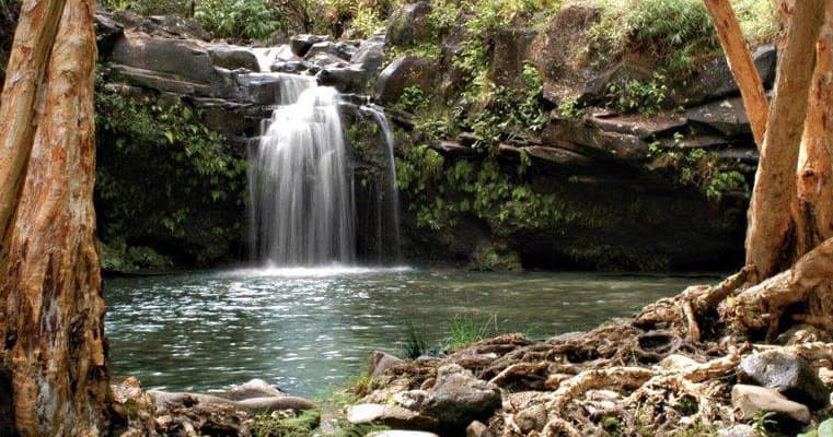 Maui Waterfall Walk & Swim — Private Rainforest Hike from Kahului