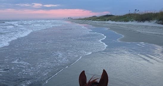 Private Proposal Oceanfront Ride in North Myrtle Beach