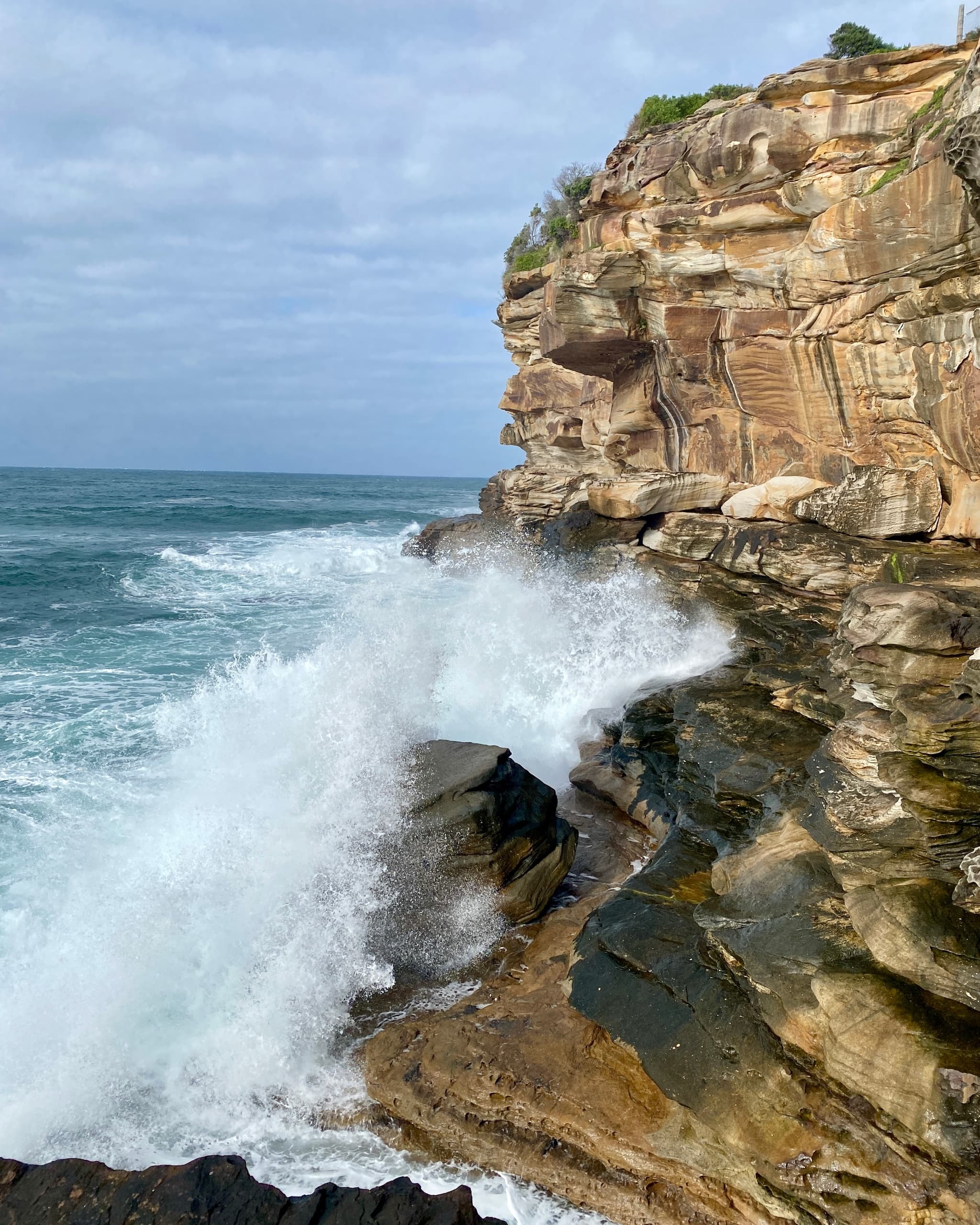 Private Sydney Half-Day Tour: Opera House, Bondi & Coastal Lookouts photo 4