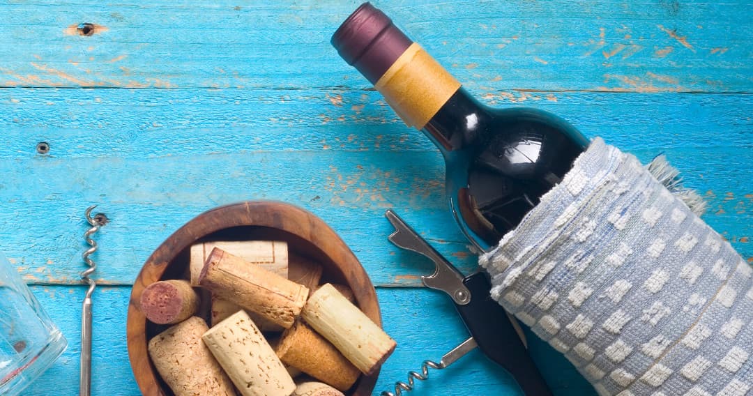 Cork & Wine Experience | Farm in Igrejinha | Winery, Wine