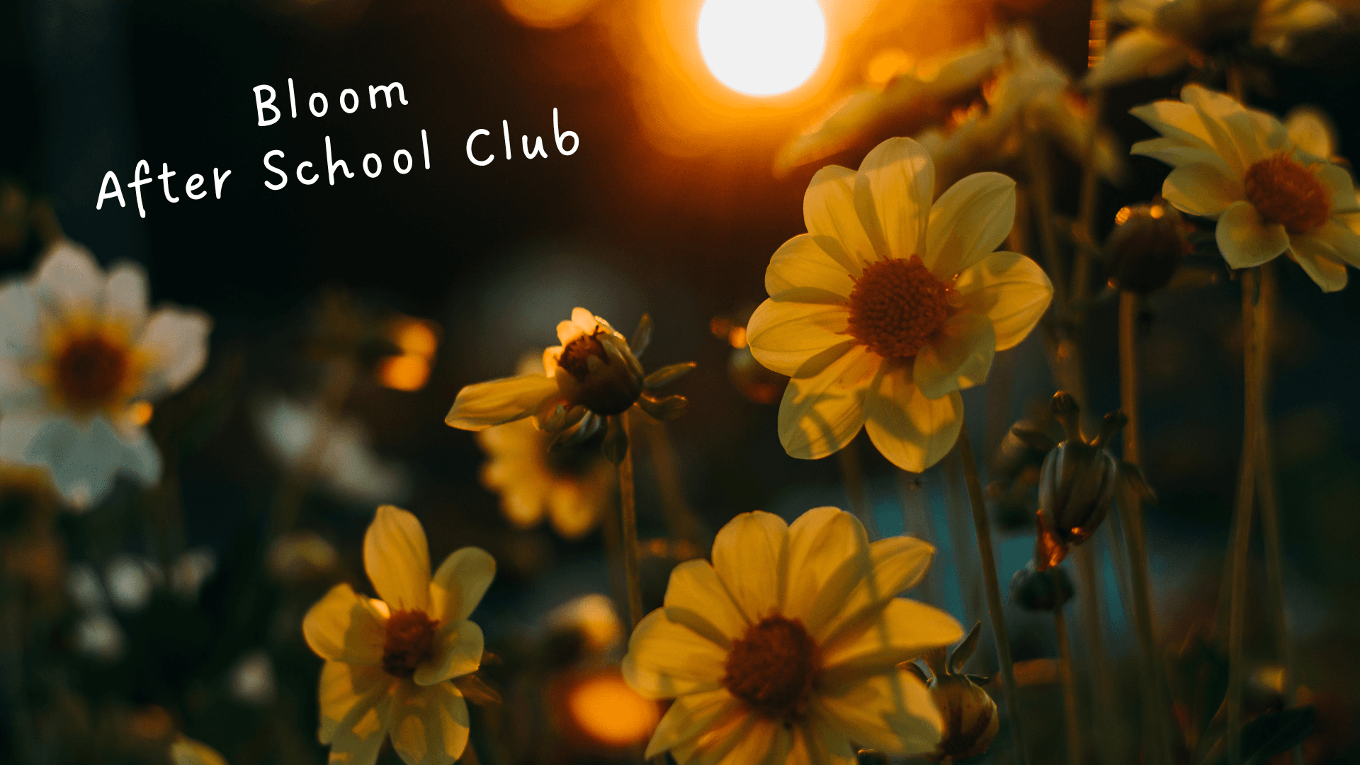 Outdoor Community & Art Adventures at Bloom EYE CIC