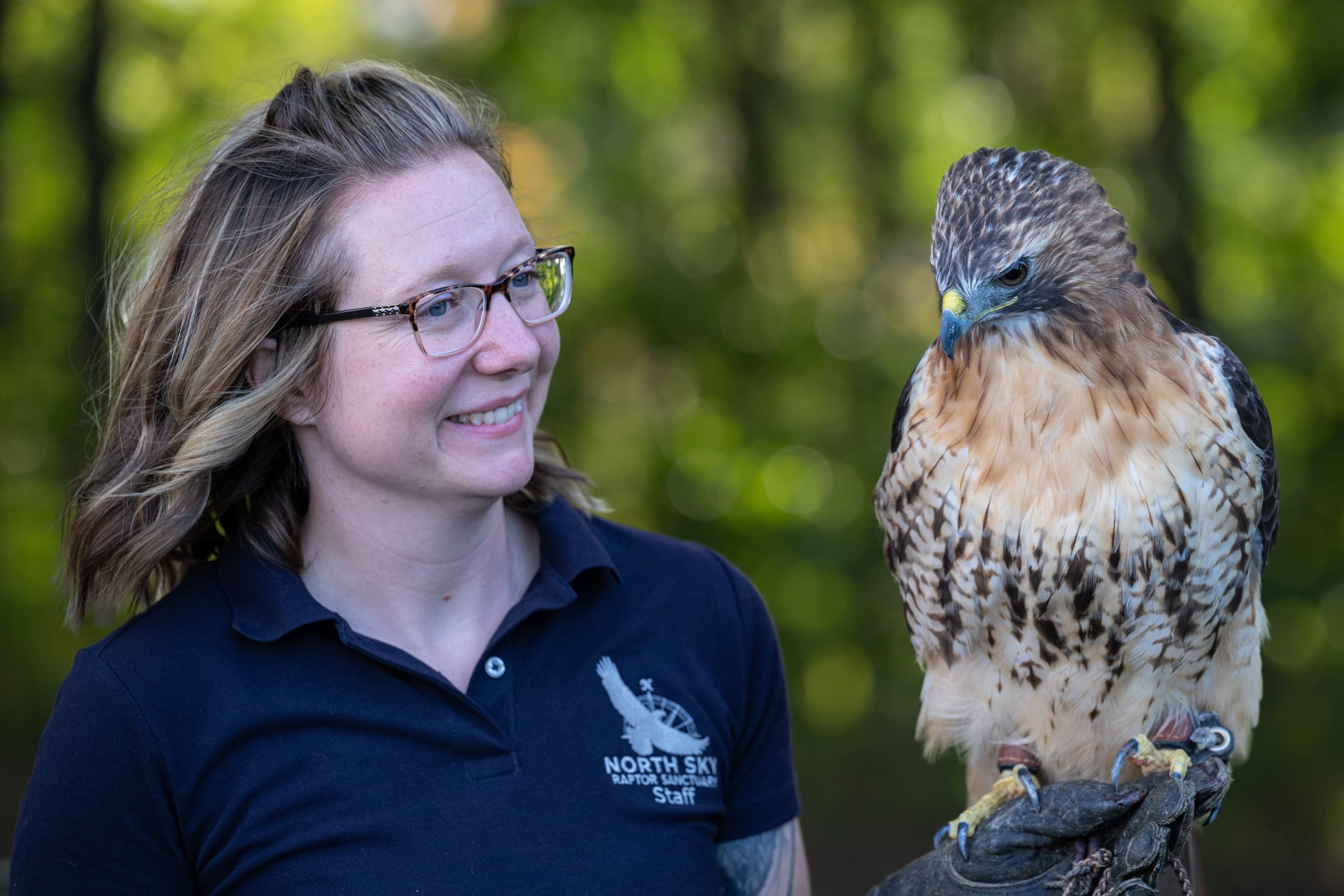 Raptor Cruises and Bird of Prey Tours in Traverse City