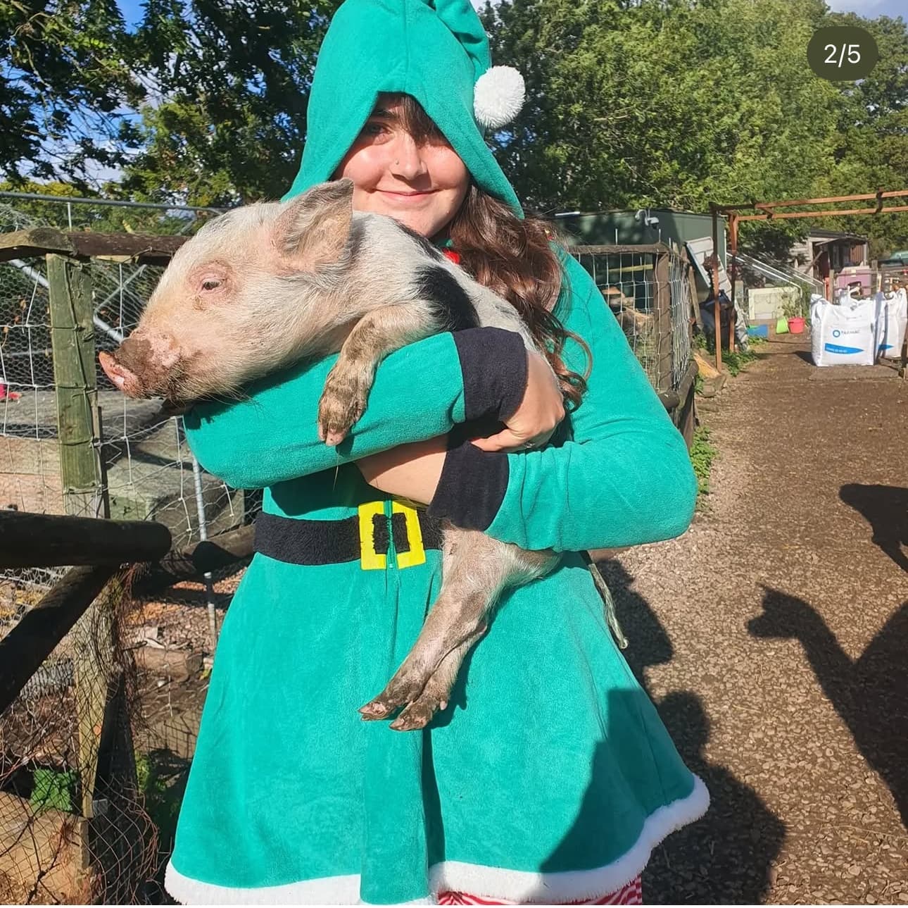 Hurley Holiday Crafts and Santa Meet and Greet at the Farm