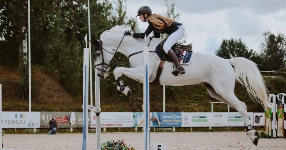 Master Horse Care and Riding Skills with Independent Lessons in Eagle Creek, Oregon