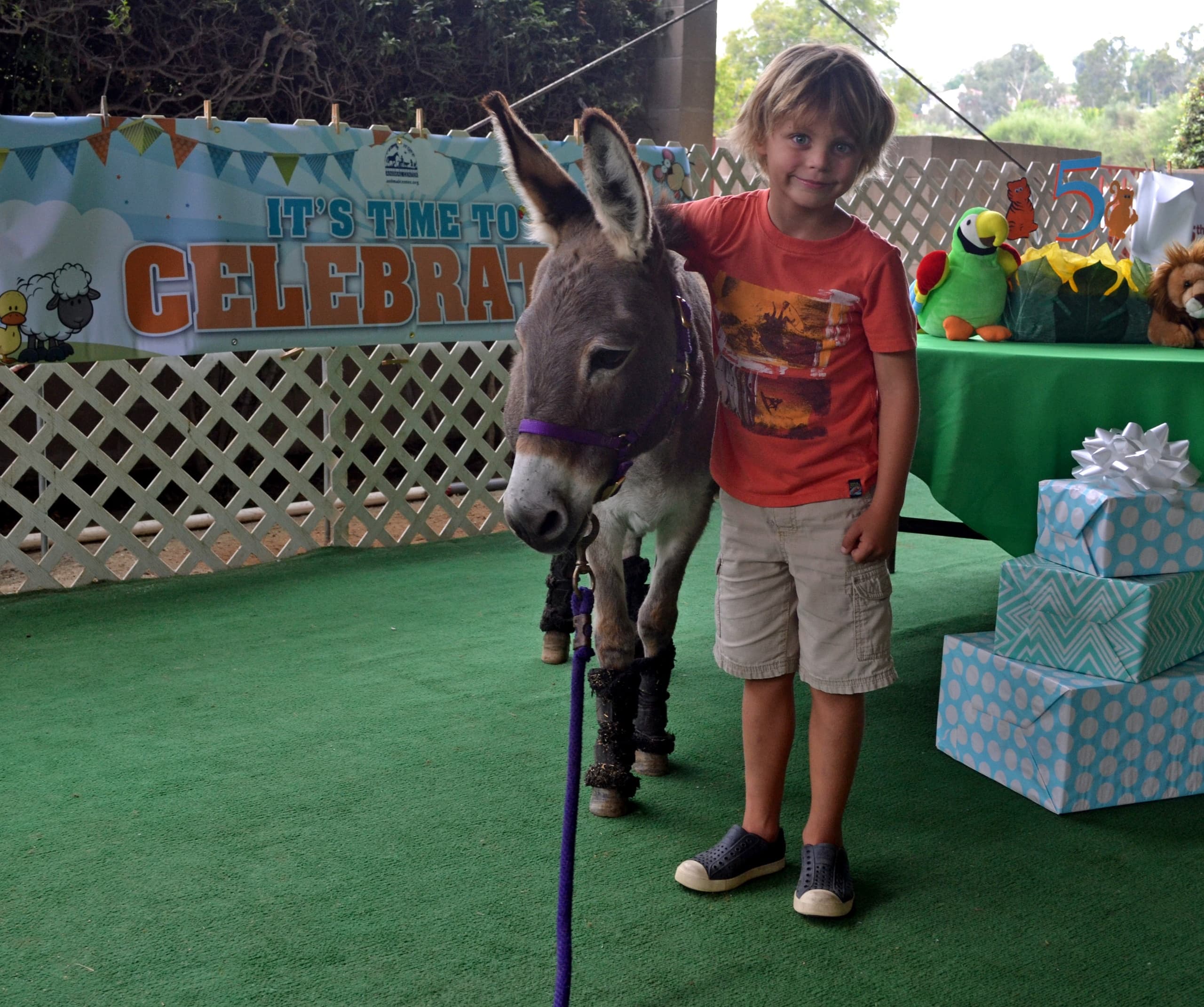 Celebrate an Animal-Themed Birthday Party in Del Mar, CA
