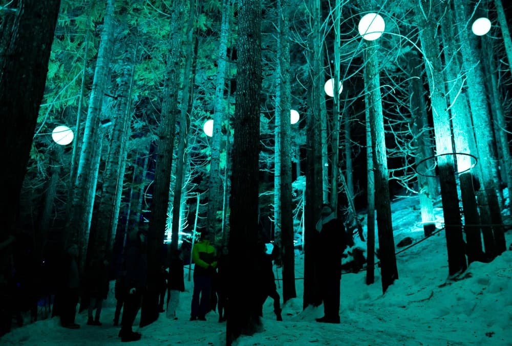 Vallea Lumina Night Walk by The Adventure Group Whistler