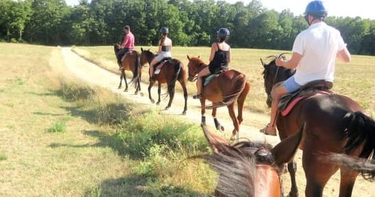 Horseback Riding in Chianti with Tuscany on Wheels