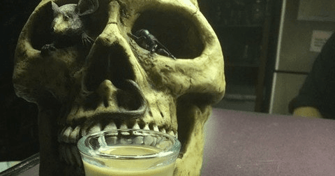 Halloween Fright Night Boat Party in New Westminster