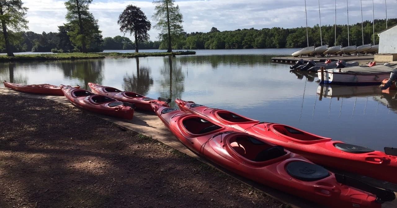 Water Activities: Henley to Windsor Paddling Adventure