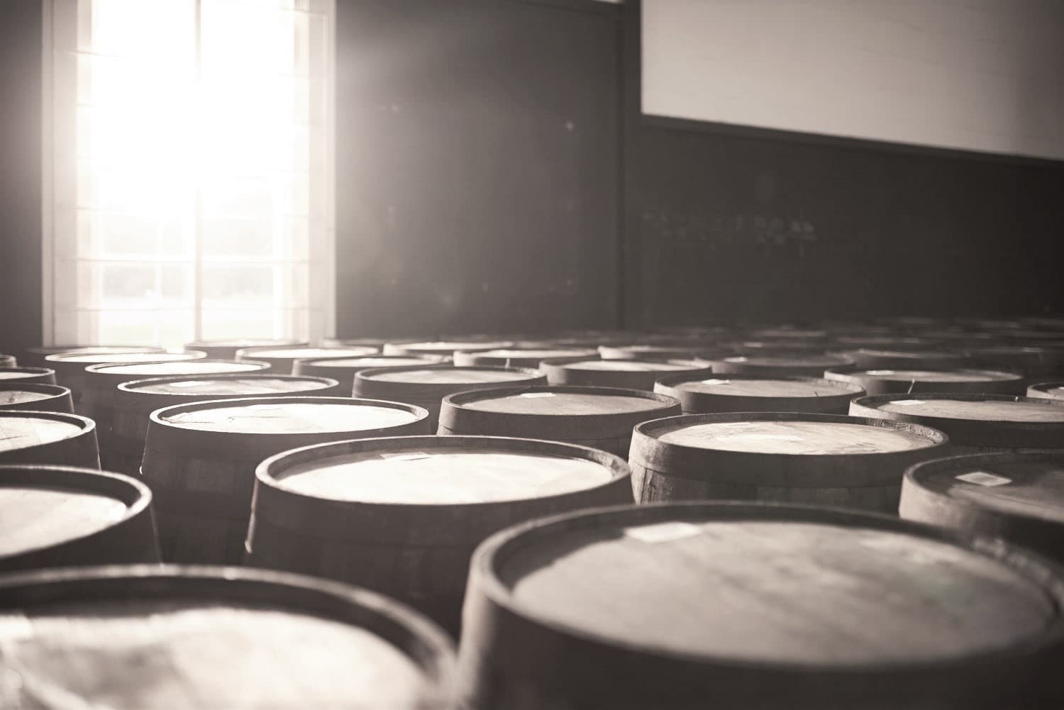 Behind-the-Scenes Whisky Adventure with Isle of Arran Distillers