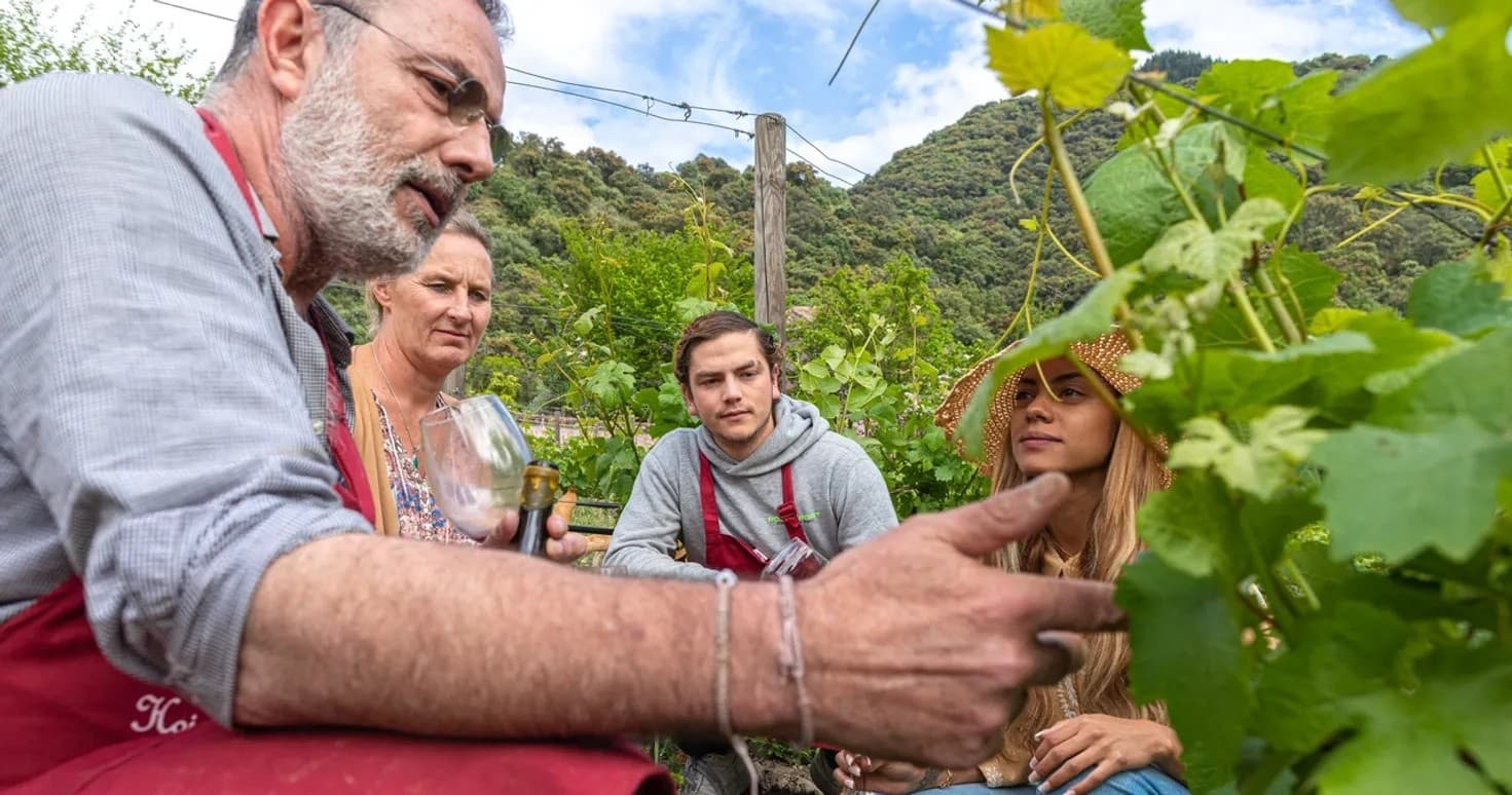 Historic Andalusia Wine Tasting with Farm Experiences & Tours