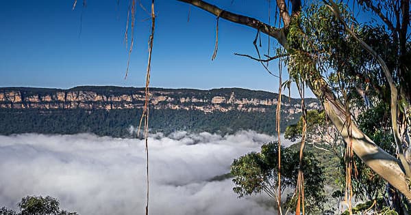 Waterfall Adventures at Blue Mountains with Picture Me Sydney