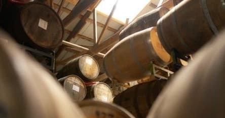 Private Nantucket Brewery and Distillery Tour: Vineyard, Cisco Brewers, Triple Eight