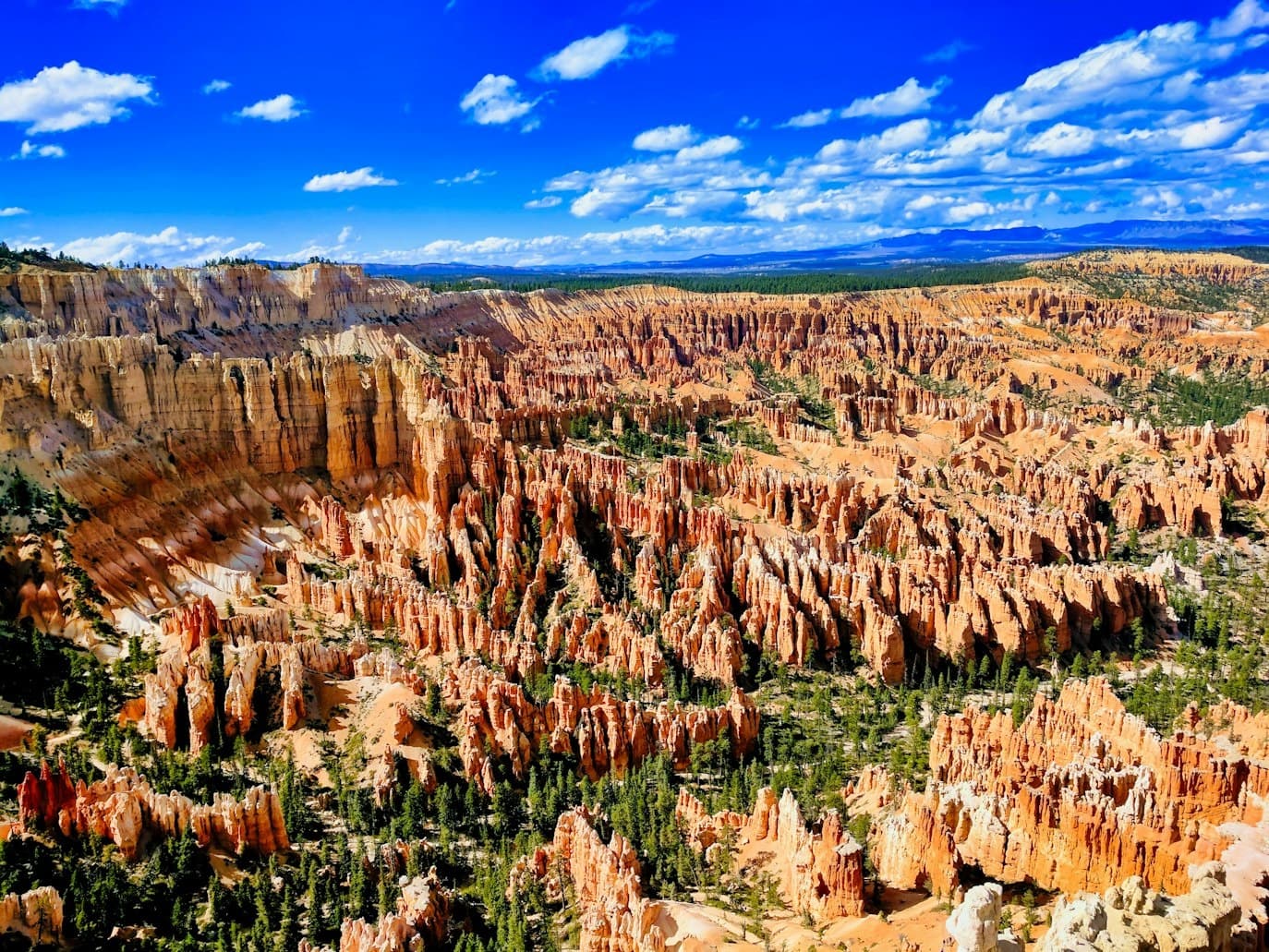 Expansive Bryce Canyon amphitheater with hoodoos under blue sky