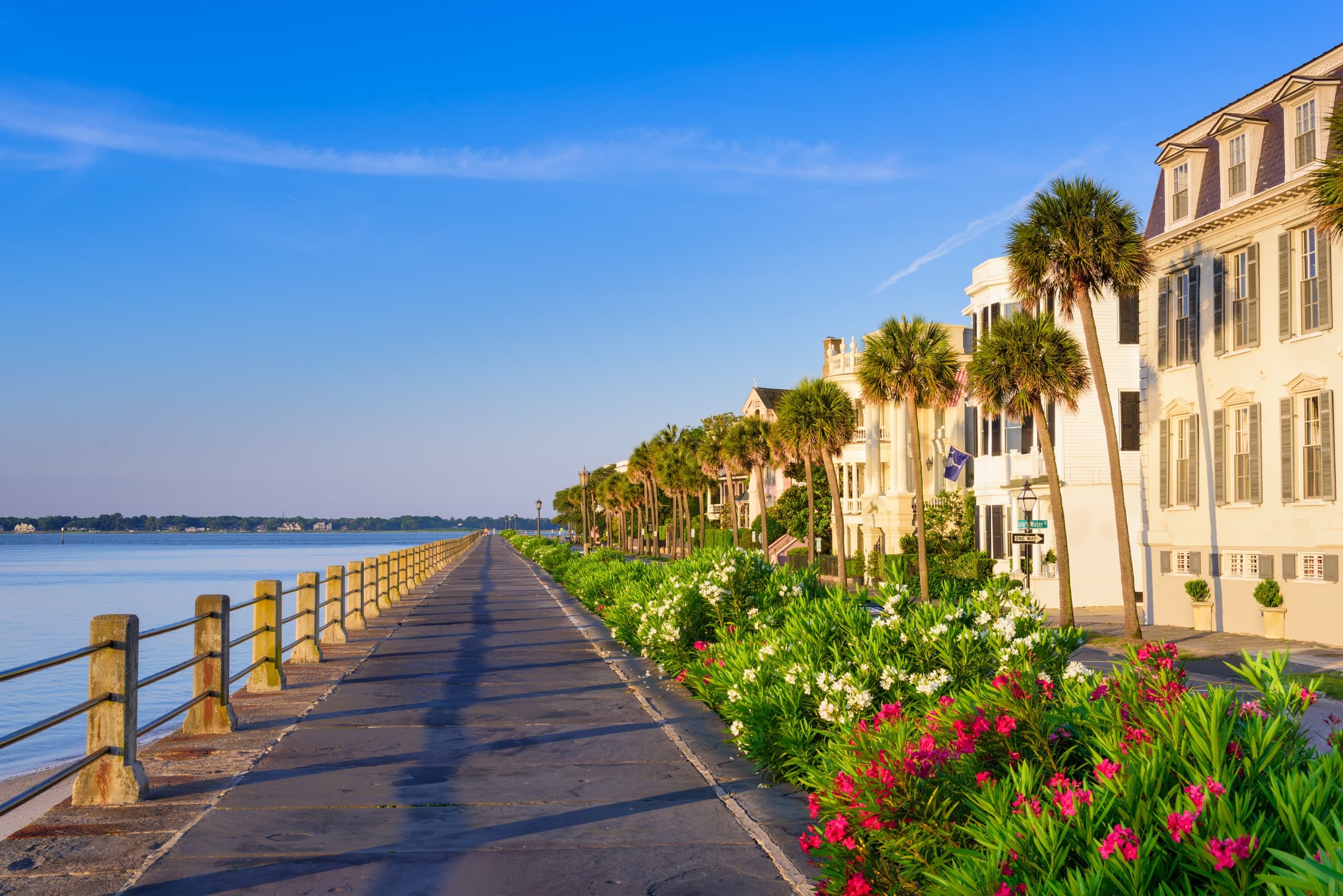Historical Walking Tour of Charleston with Eric Lager