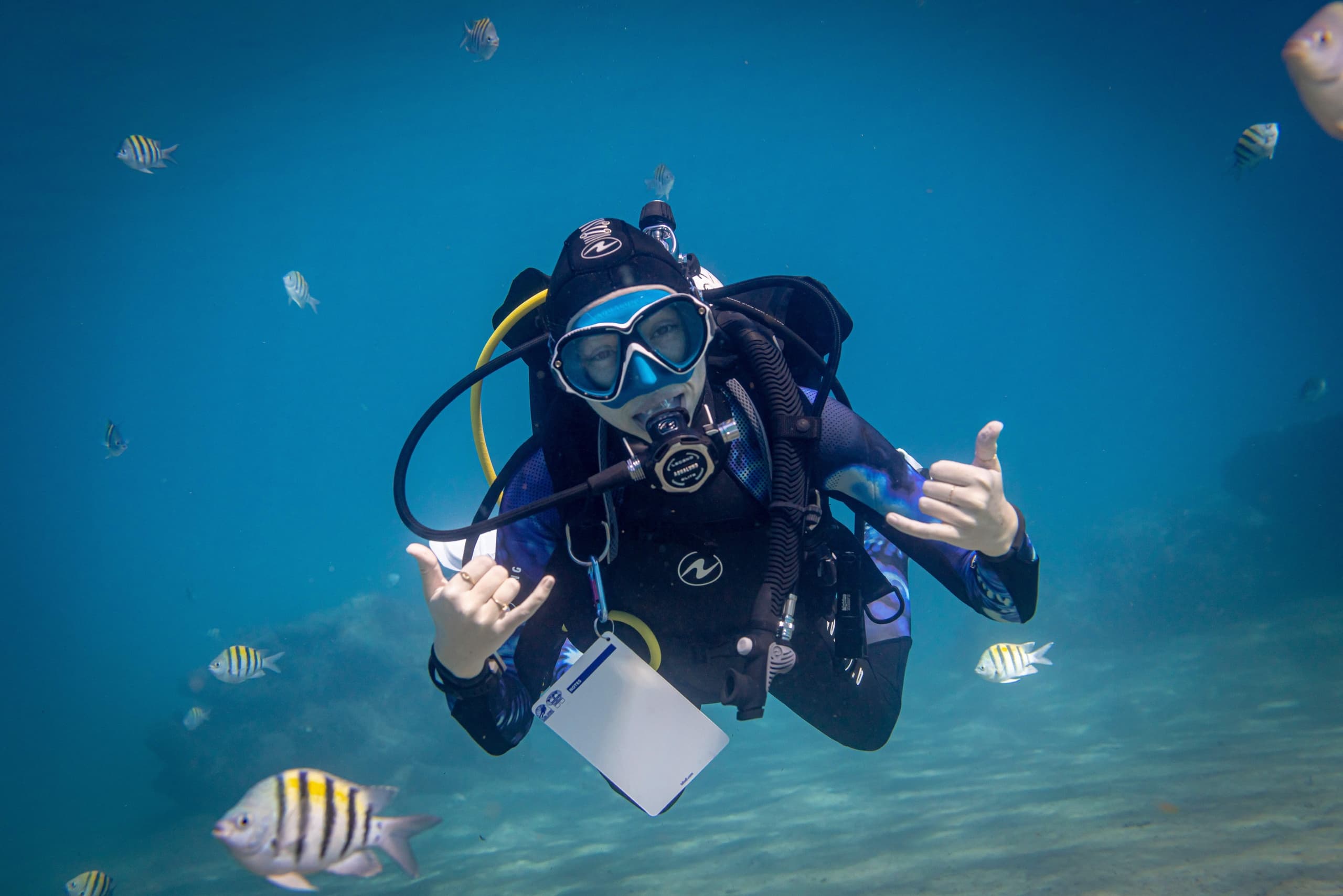 Shoal Bay SDI Open Water Scuba Certification: 3-Day Beginner Course with Squids Dive Co