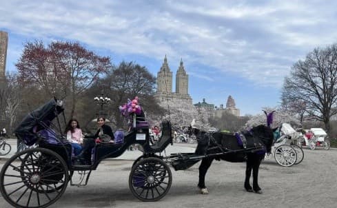 Central Park Carriage Ride: 40-45 Minute Tour to Bethesda Terrace & Strawberry Fields