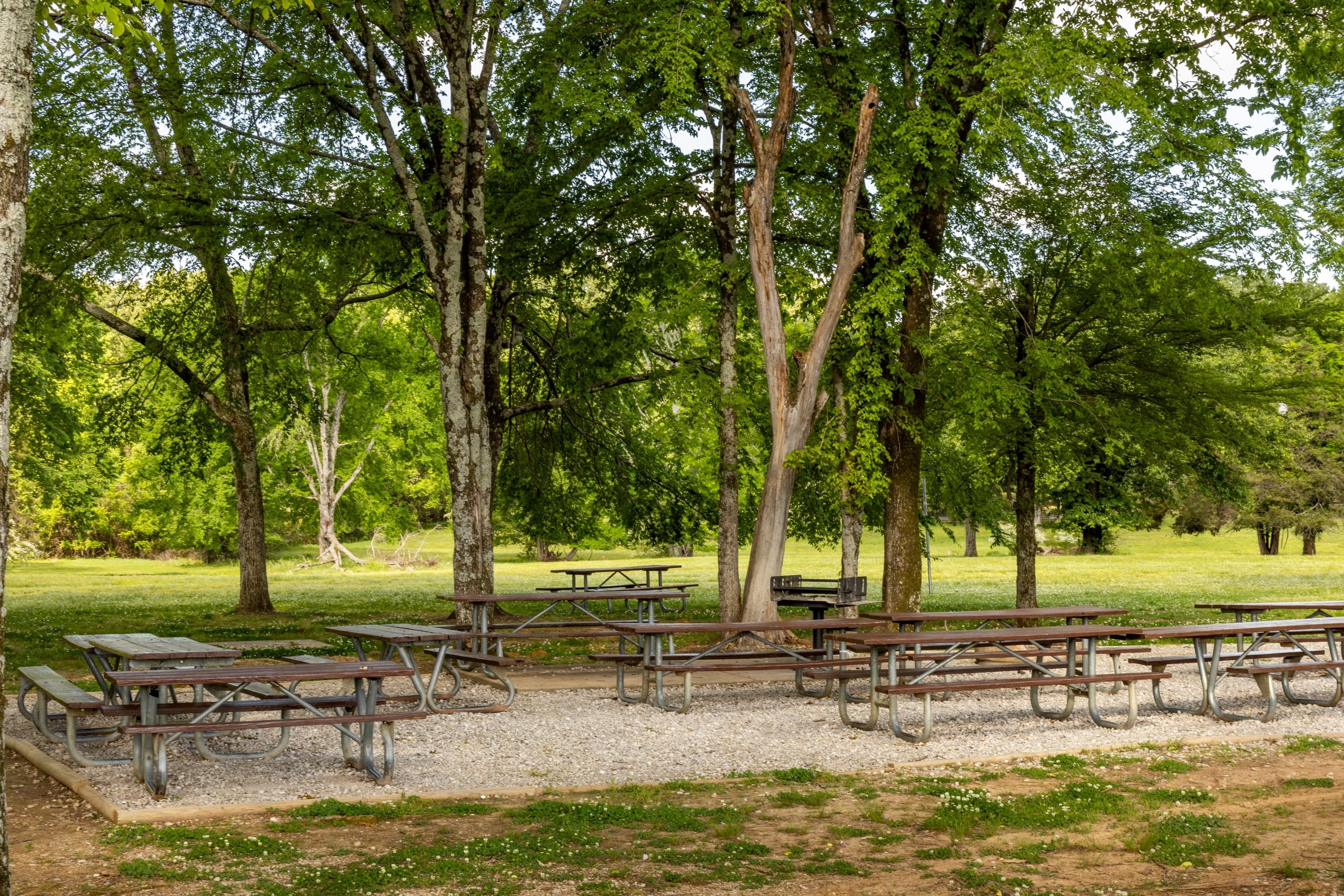Memphis Outdoor Picnic at Shelby Farms Park’s Beaver Lake Area