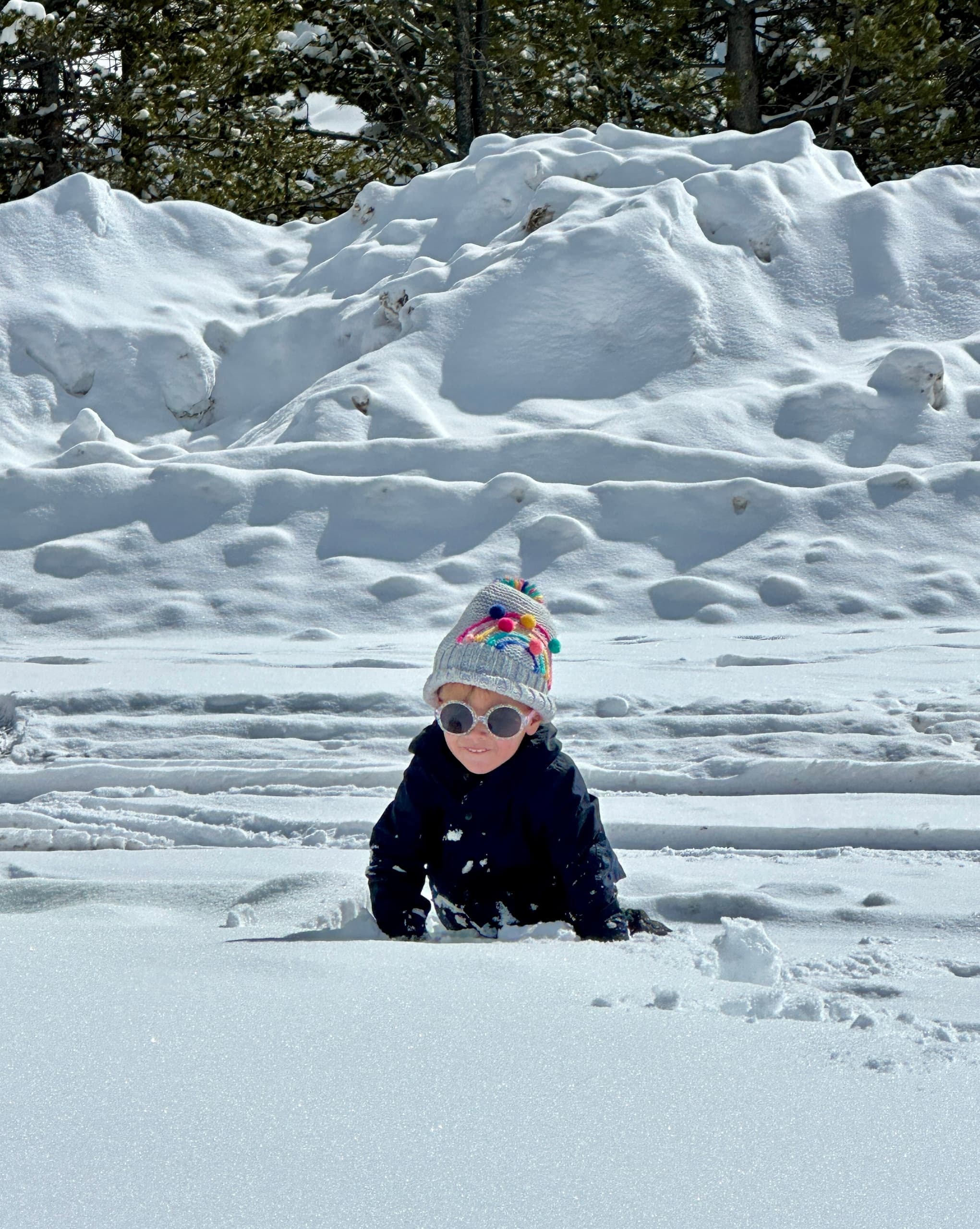 Guided Snowshoe Tours in the San Juan Mountains: Private, Custom Routes from Durango photo 4