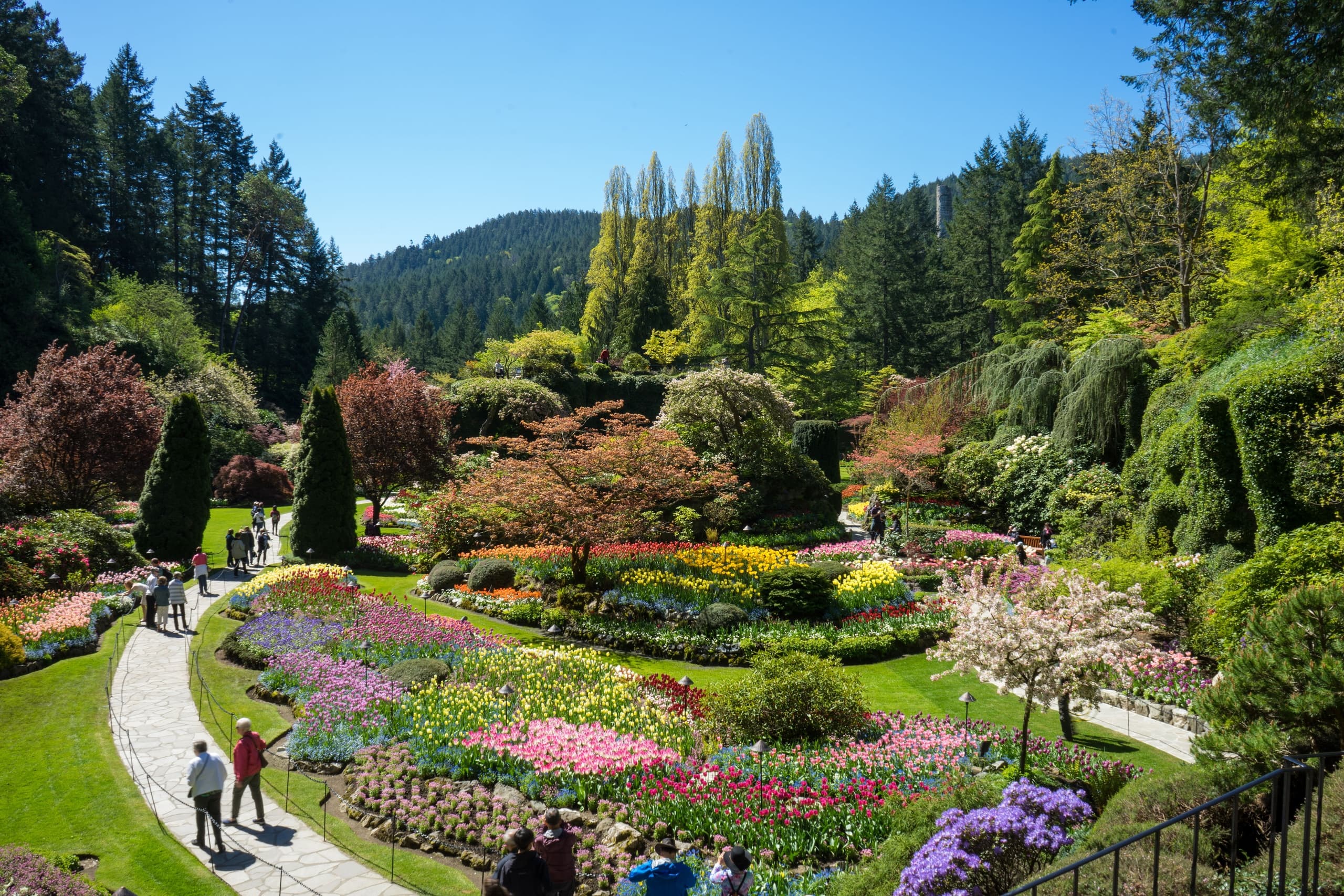 Discover Victoria & Butchart Gardens