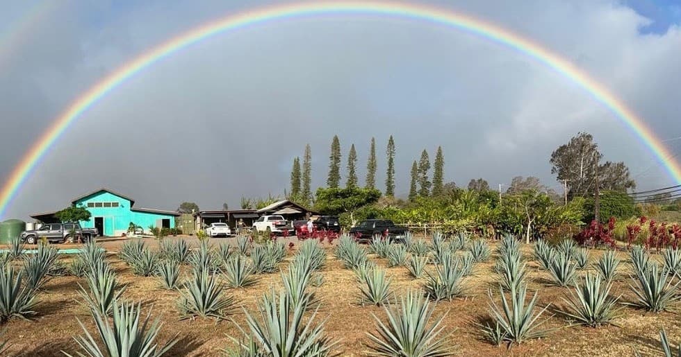 Hawaiian Spirit Tasting at Waikulu Distillery in Makawao