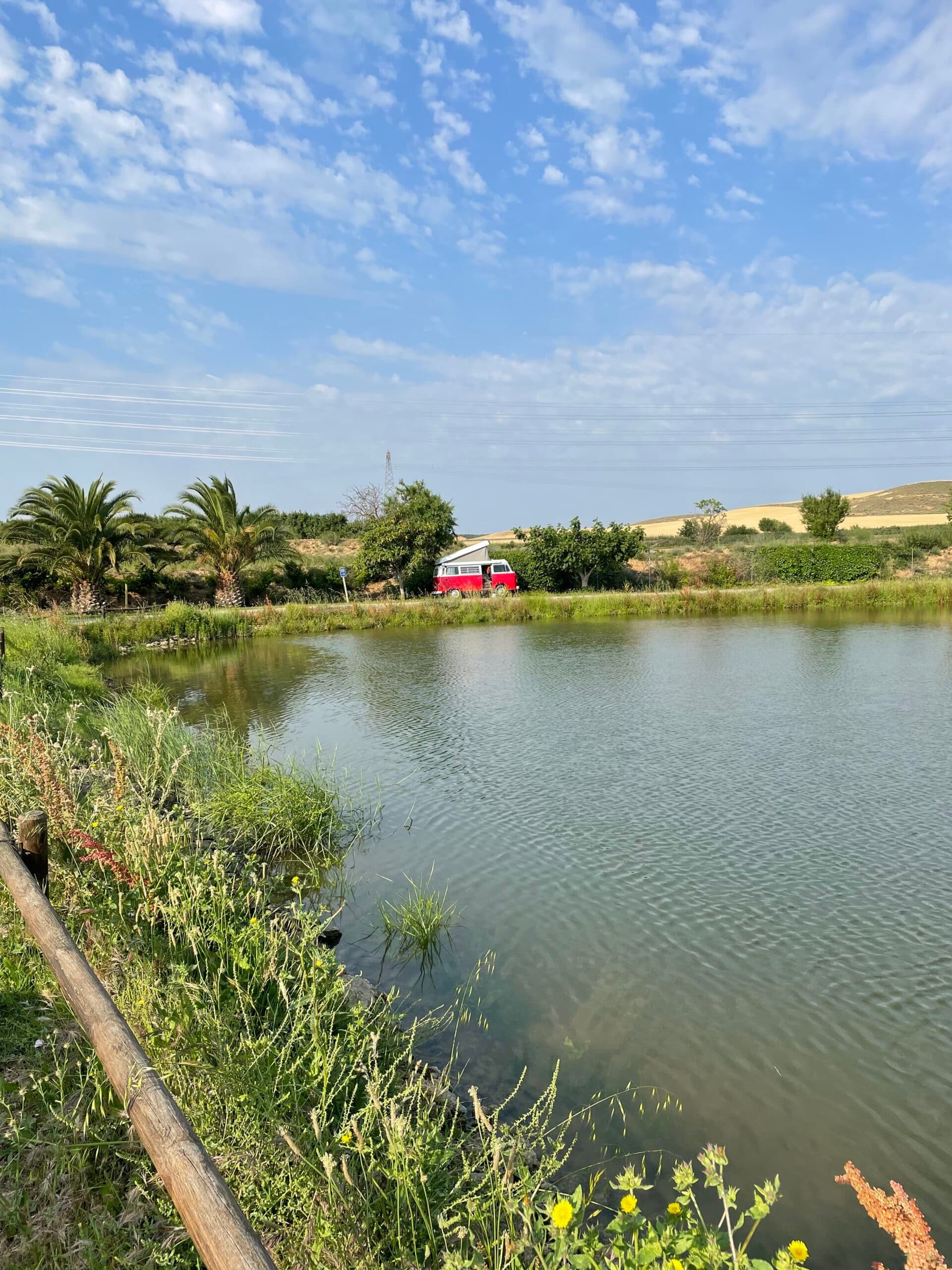 Lakeside RV Parking & Tasting at Aceite Artajo