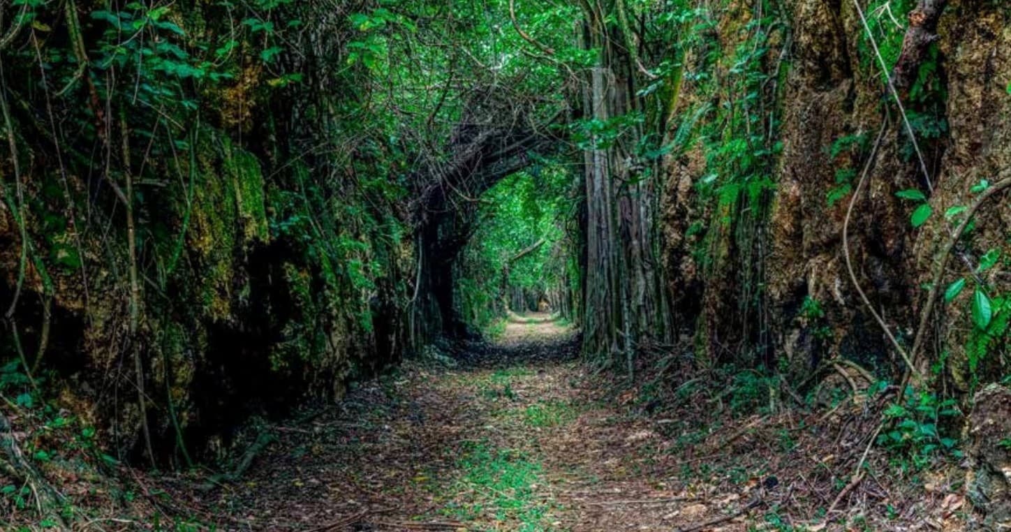 Historic Rail Trail Hikes with Royal Isabela