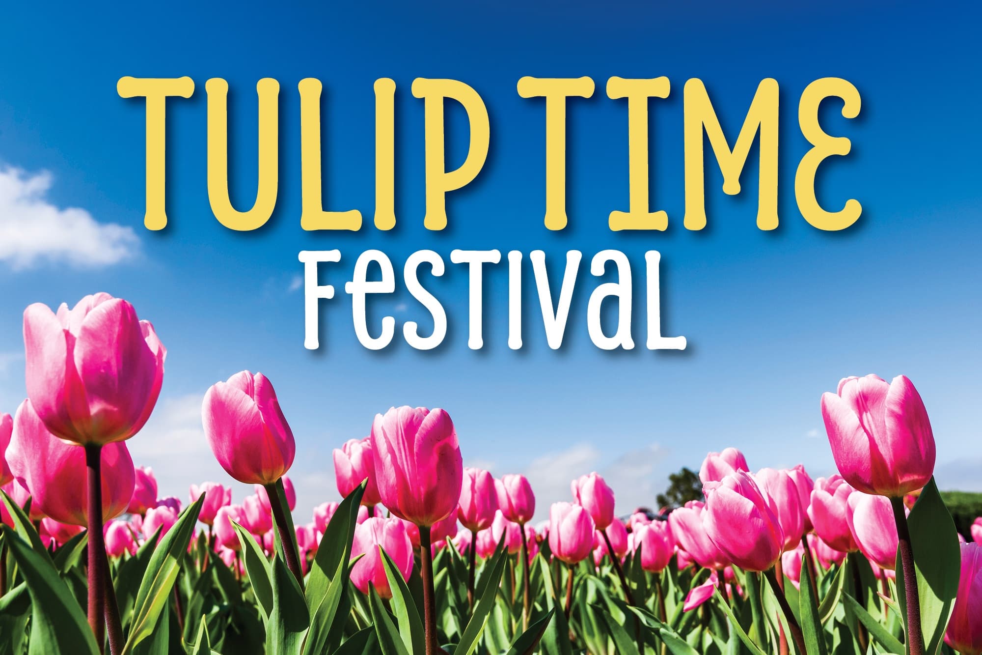 Pella Tulip Time Festival: Dutch Heritage, Parades, and Spring Tulips in Pella, Iowa